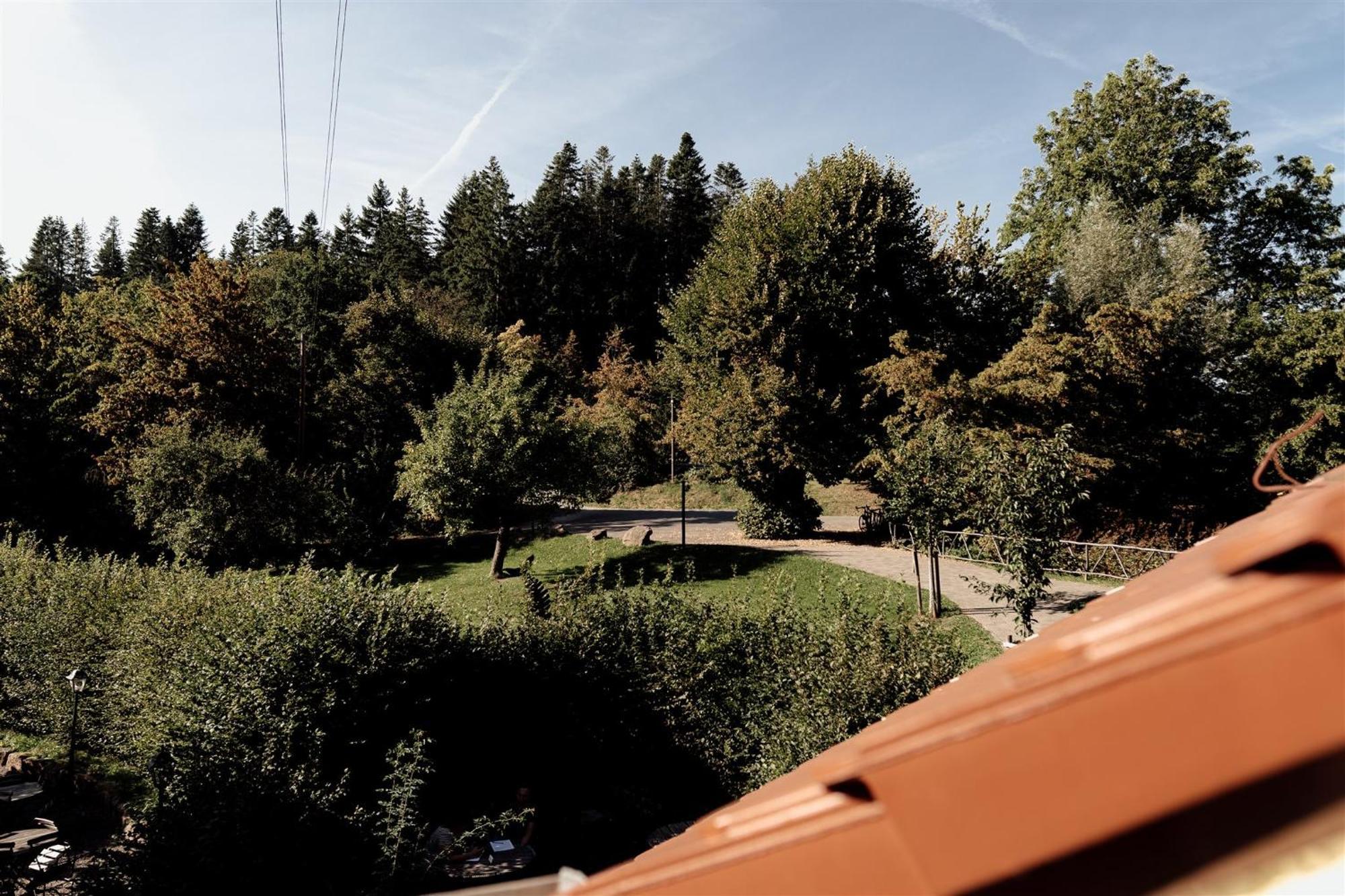 Hotel Dammuehle Marburg Eksteriør bilde